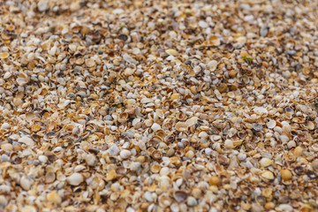 coarse sand