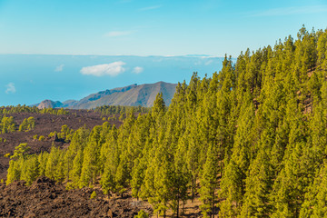 Teide National Park, Tenerife, Canary Islands.  Beautiful sunny weather in the mountains. mountain view above the clouds