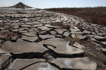 withered mud