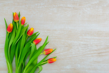 Womens day. Pink tulips bouquet on wooden planks background, copy space, top view