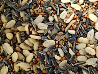 Ausgewogene Futtermischung für Wildvögel