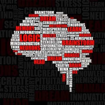 Abstract silhouette human brain of words. Vector illustration. Eps 10