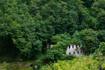 Fototapeta na wymiar Ruins of old stone farm building in mountains jungles and rainforest with waterfalls in warm fog weather with rain. Picture taken in Amalfi coast, Italy