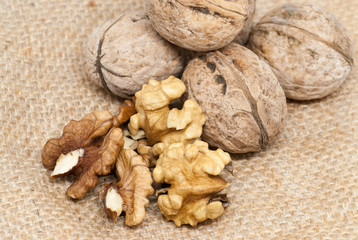 ripe tasty whole walnuts and walnuts kernel on hemp bag