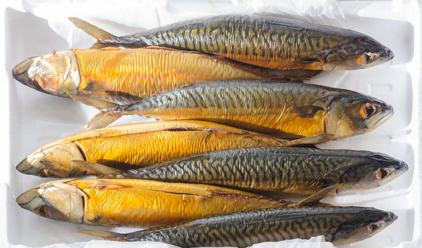 Makrele geraucht Makrelen veredelt Rauch Salz Scomber scombrus