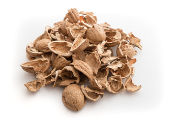 Pile of shells nutshells