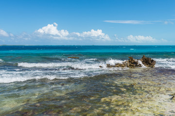 Flying seabirds at Los Roques archipelago, in the Caribbean Sea, in Venezuela