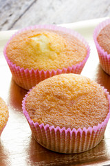Sweet donuts with icing sugar