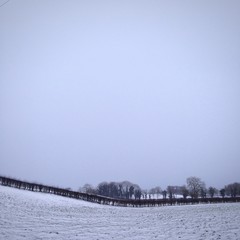 Field with snow