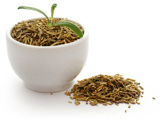 Fresh organic rosemary