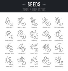 Fototapeta na wymiar Set Vector Line Icons of Seeds