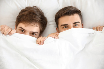 Young gay couple hiding under blanket in bed together