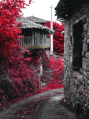 Horreo escondido. Parres - Asturias © Andoni de Arce