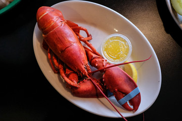 Whole steamed lobster with drawn butter served at a restaurant in Rockport, Massachusetts