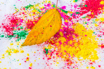 Holi Powder with autumn leaf