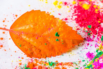 Holi Powder with autumn leaf