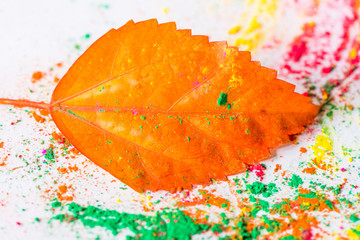 Holi Powder with autumn leaf