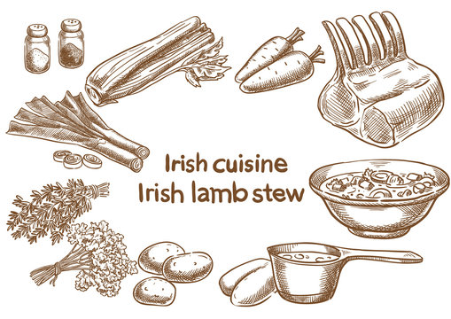 Irish cuisine. Irish lambstew ingredients. Sketch drawing.