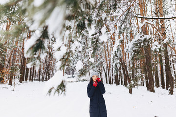 Fototapeta na wymiar The girl walks in a snow-covered forest among the pines in red gloves
