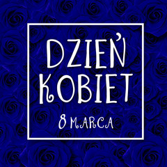     Women's day card with Polish words DZIEŃ KOBIET. Tulip flower small hearts on white wooden background. 

 - obrazy, fototapety, plakaty