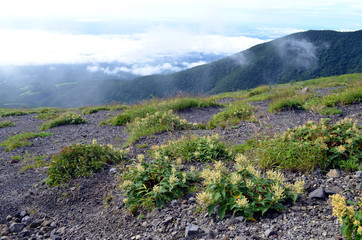 那須岳登山道からの風景