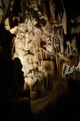 Jaskinia Postojna, Słowenia. Formacje wewnątrz jaskini ze stalaktytami i stalagmitami. - obrazy, fototapety, plakaty