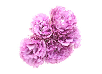 トルコキキョウの花束