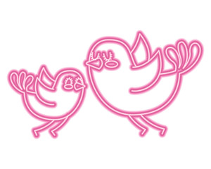 beautiful flying birds lovely animal vector illustration