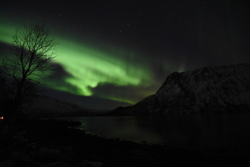 Nordlicht Norwegen