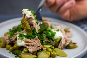 Tuna salad with cucumber, green peas, parsley and dill on the white plate
