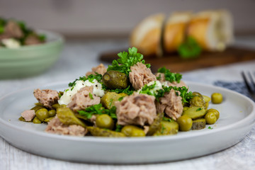Tuna salad with cucumber, green peas, parsley and dill on the white plate