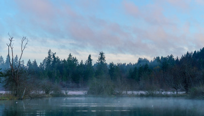 Early Morning Fog On The Bay