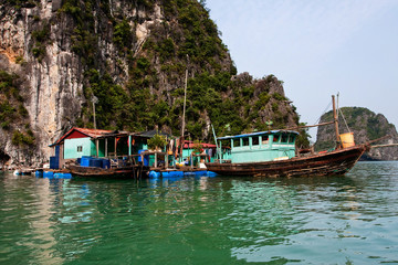 Fototapeta na wymiar Floating village of Kuah Wan near the island of Daw Guo in Halong bay in Vietnam. National authentic ships with sails are floating by the sea. Houses on the water. Rocky coast.