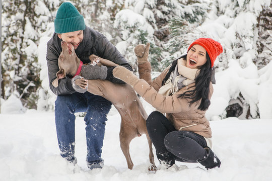 Cute happy loving couple of caucasian man and woman on a walk in snowy day with their weimaraner dog. Casual outfit, lifestyle images