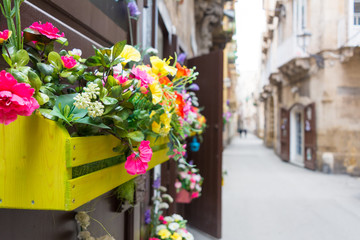 Fototapeta na wymiar Horizontal View of Close Up of a Composition of Flowers in a Yellow Wooden Box Hanged on a Door in a Street. Taranto, South of Italy