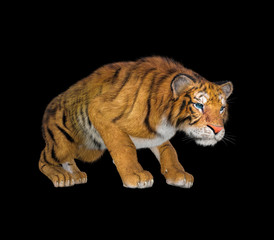 Plakat 3d rendering of Siberian tiger also known as the Amur Tiger on black back ground