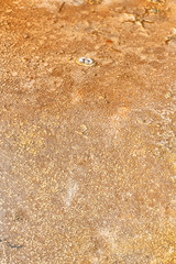   in  ethiopia africa  the volcanic  lake closeup