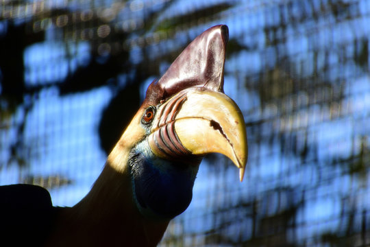 Aceros Cassidix