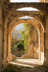 Stone arcs in abandoned monastery de Rioseco.