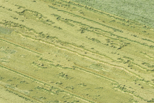 Aerial image showing damage of crops due to heavy rains and wind