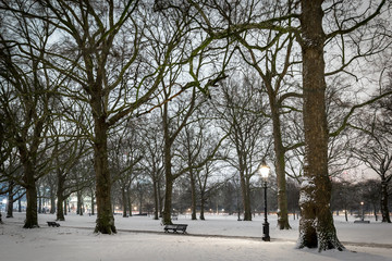 Snow Green park in the night, London