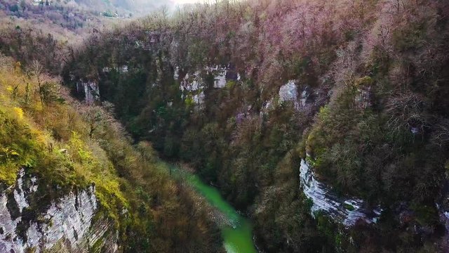 Aerial view flying over a creek, stream winding through a forest Late afternoon, close to sunset with lens flare. Clip. Aerial beautiful mountain stream, river surrounded by green trees with crystal