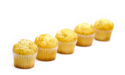 Lemon Poppyseed Muffins on a White Background