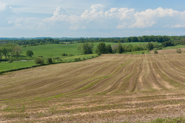 Rural landscape of field in countryside