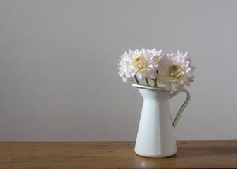 White dahlias in jug on wooden shelf against neutral wall background