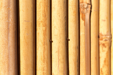 abstract texture background of the bamboo wall