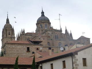 Fototapeta na wymiar Salamanca, ciudad situada en la comunidad autónoma de Castilla y León (España)