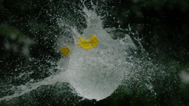 Arrow puncturing a water balloon, Ultra Slow Motion