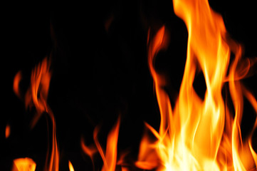 burning fire flame on the black background