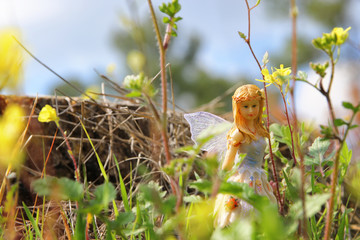 image of magical little fairy in the forest.